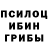 Галлюциногенные грибы Cubensis Viktoria Kucina