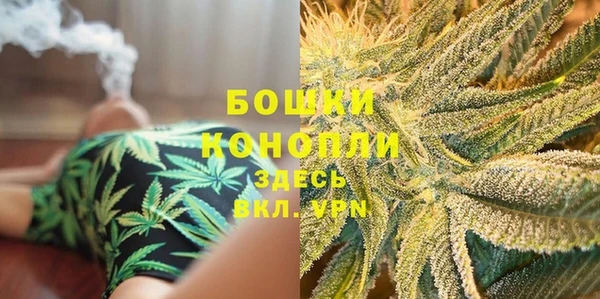 ALPHA-PVP Осинники