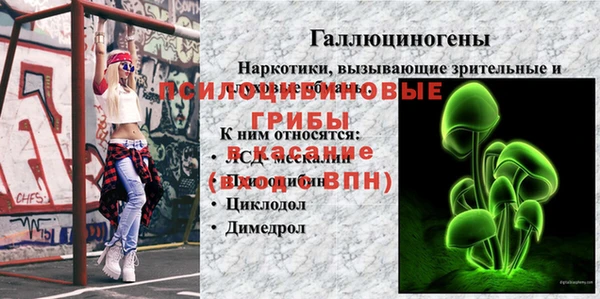 твердый Абаза