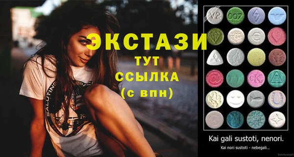 сатива Няндома