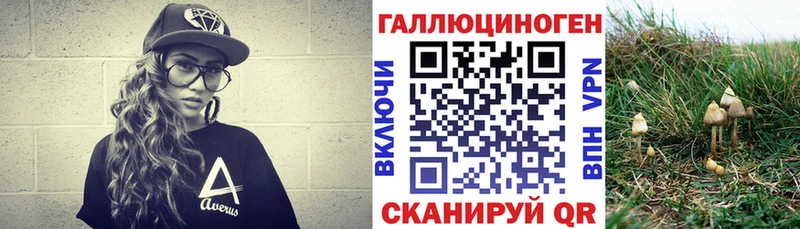 сайты даркнета как зайти  omg сайт  Галлюциногенные грибы MAGIC MUSHROOMS  Нерчинск  как найти закладки 